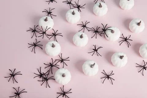 White mini pumpkins aligned symmetrically in the middle of a spider infestati Stock Photos