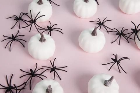 White mini pumpkins aligned symmetrically in the middle of a spider infestati Stock Photos