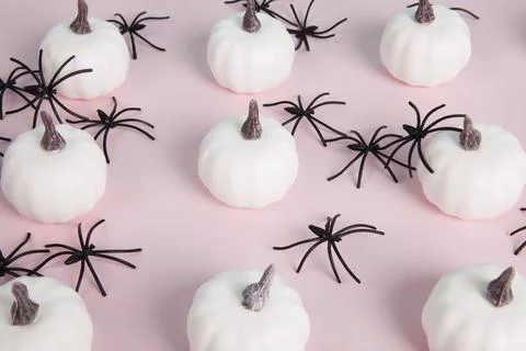 White mini pumpkins aligned symmetrically in the middle of a spider infestati Stock Photos