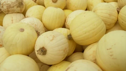 White Mini Pumpkins for Fall Decoration Stock Footage 325527943