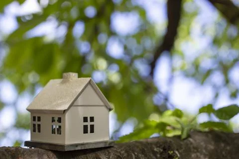 White miniature model house on a tree branch Stock Photos