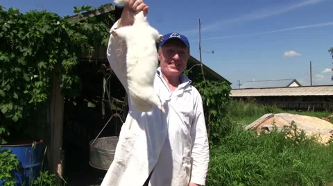 White mink in hand Видео 40301476