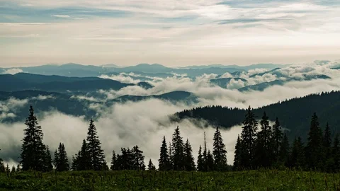 White mist floating on the mountain.Fog filled the sky and white clouds 스톡 동영상 90922242