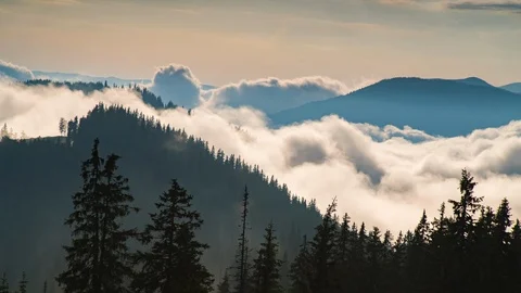 White mist floating on the mountain.Fog filled the sky and white clouds 스톡 동영상 90922454