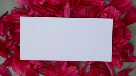 White mockup, certificate, leaf, envelope on wine-colored rose or peony petals Stock Footage 300719057