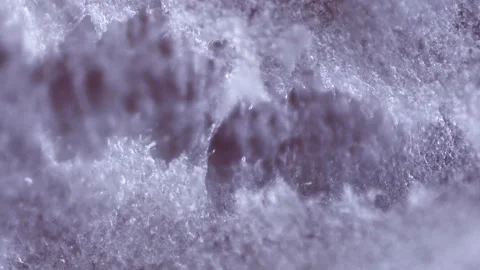White mold on the surface of a cured sausage (fungus of the genus Penicilli.. Stock Footage 276445723