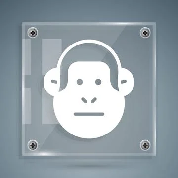 White Monkey icon isolated on grey background. Animal symbol. Square glass Illustrazione stock