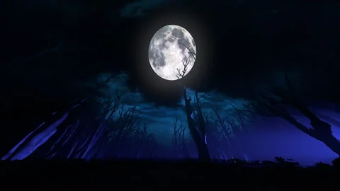 White Moon Looping Animation Stock Footage 241934739