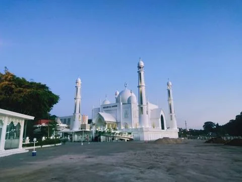 White mosque Foto stock