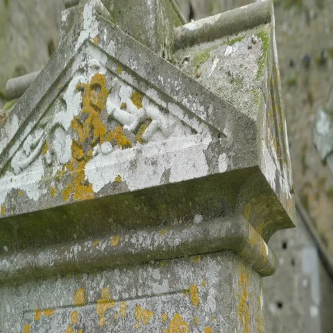 The white moss and green moss on the cross Stock Footage 69132506