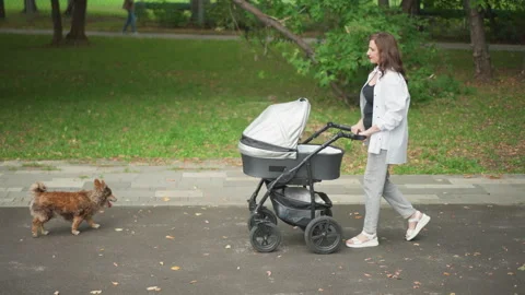 White mother walking with stroller through leafy park past bench while small Video stock 346380874