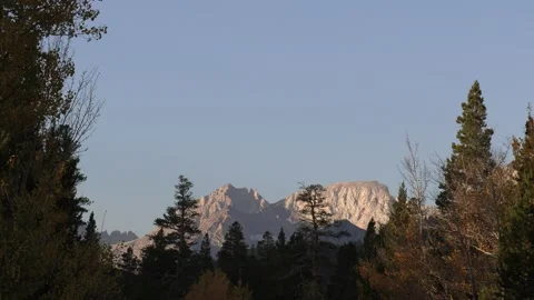 White Mountain and Hugging trees Rock Creek Road Bishop  CA Stock-Footage 141010750