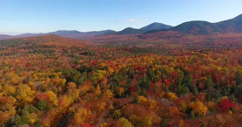 White Mountain fall foliage, New Hampshire NH, USA. Stock Footage 131336194
