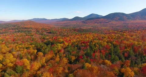 White Mountain National Forest fall foliage, NH, USA Video stock 172041285