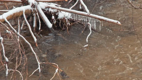 White Mountain Stream Water Falling Down Stock Footage 105078856