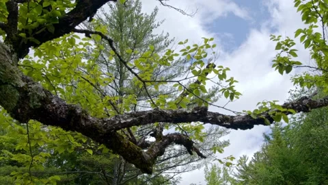 White mountains Stock Footage 201073834