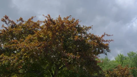 White mountains Stock Footage 201074505