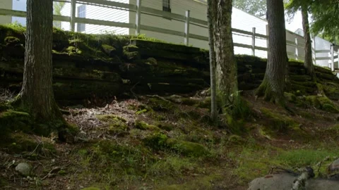 White mountains Stock Footage 201076127