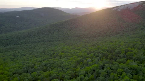 White Mountains NH DRONE trees 動画素材 155651599