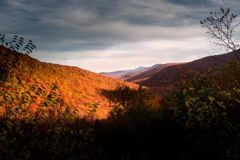 White mountains shadow over the forest during fall folliage Stock Photos