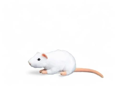 White mouse doll on a white background Stock Photos