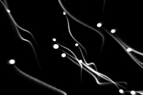 White moving dots leaving trails Stock Footage 24805141