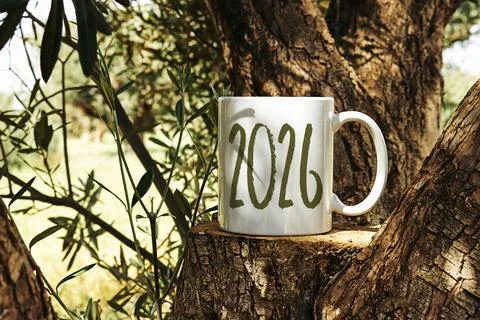 White mug featuring bold '2026' text resting on a tree stump amidst lush nature, Stock Photos