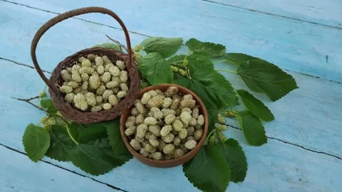 White Mulberries over a table 스톡 동영상 165856089