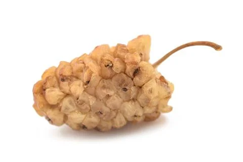 White mulberry Stock Photos