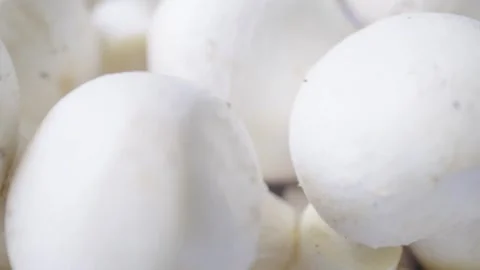 White mushroom in container on rotating background Stock Footage 290509670