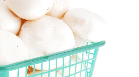 White mushroom 스톡 동영상 45601990