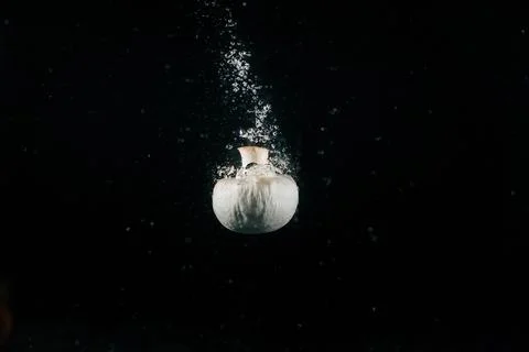 White mushroom makes bubbles falling in water on black backgroun Stock Photos