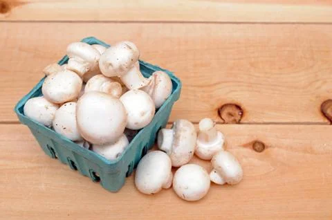 White mushroom Stock Photos