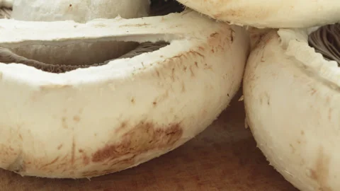 White Mushroom underside gills macro close up presentation slowly rotating .. Stock Footage 344690857