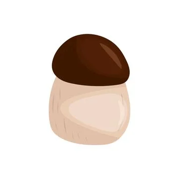 White mushroom on white background vector illustration Stock Illustration