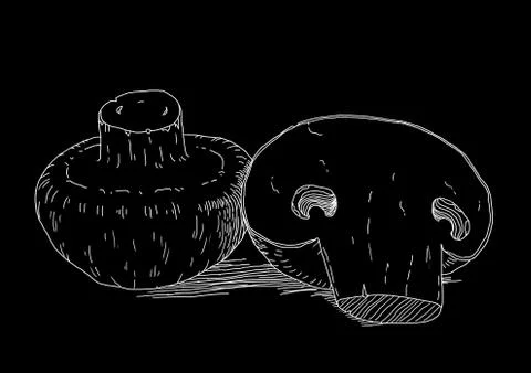White mushrooms on black background Stock Illustration