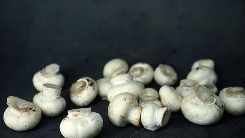 White mushrooms on a black background. raw ingredients. Stock Footage 99587200