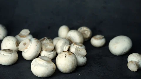 White mushrooms on a black background. raw ingredients. Stock Footage 99587201