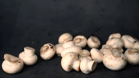 White mushrooms on a black background. raw ingredients. Stock Footage 99587204