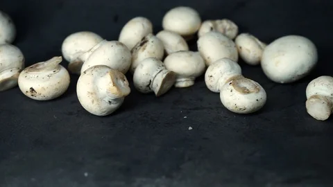 White mushrooms on a black background. raw ingredients. Stock Footage 99587207
