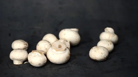 White mushrooms on a black background. raw ingredients. Stock Footage 99587221