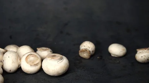 White mushrooms on a black background. raw ingredients. Stock Footage 99587223