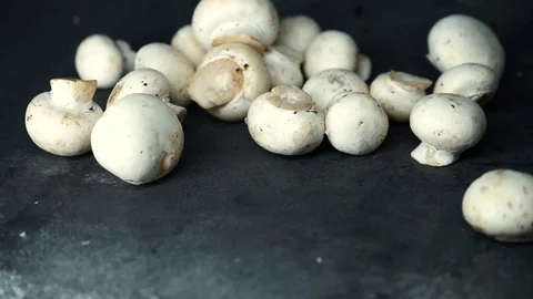 White mushrooms on a black background. raw ingredients. Stock Footage 99587231
