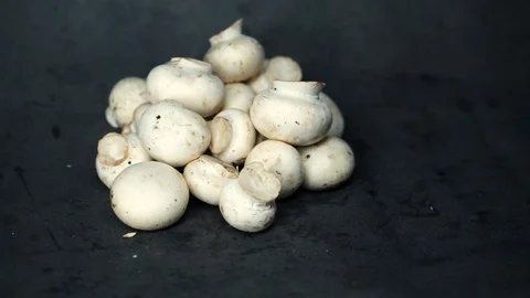White mushrooms on a black background. raw ingredients. Stock Footage 99587235