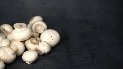 White mushrooms on a black background. raw ingredients. Stock Footage 99587238