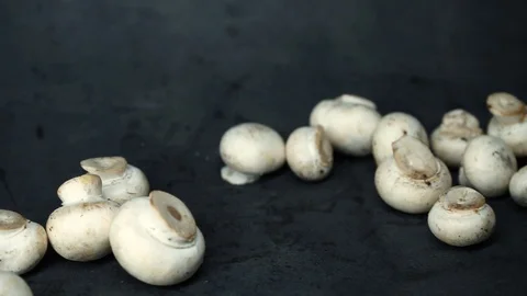 White mushrooms on a black background. raw ingredients. Stock Footage 99587242