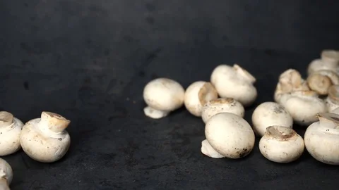 White mushrooms on a black background. raw ingredients. Stock Footage 99587248