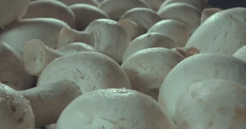 White Mushrooms Champignons On The Cook's Table Before Cooking.  Stock Footage 143566728