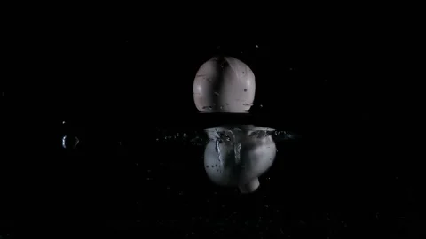 White mushrooms champignons dropped falling in water with lot of splashes Stock Footage 148736479