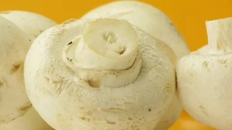 White mushrooms Stock Footage
